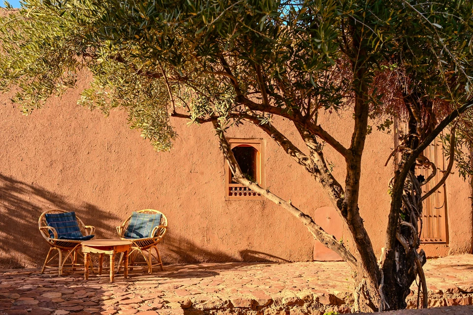 Détail du chemin du jardin avec dalles de pierre avec paillis d'écorce et plantes indigènes